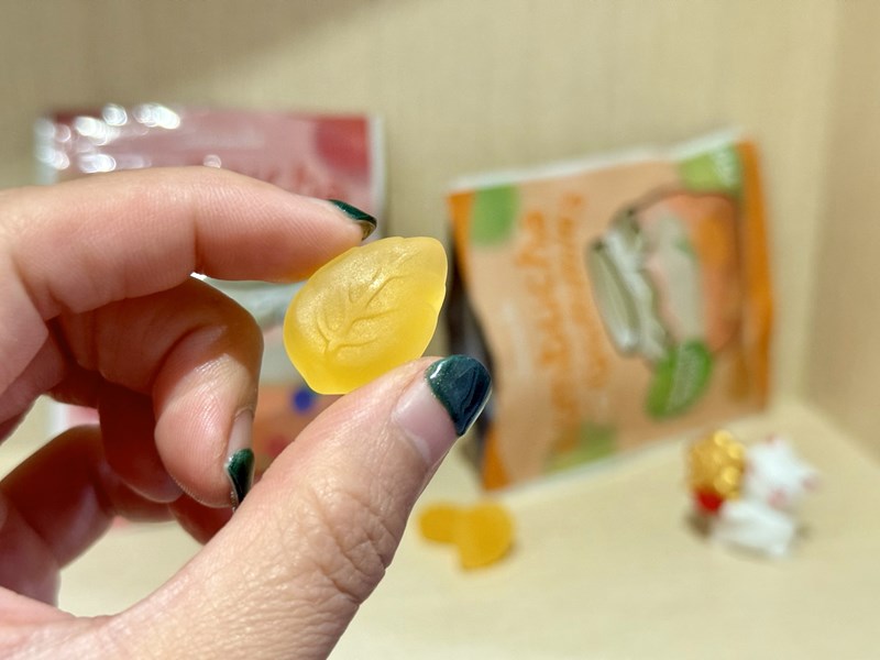 試用